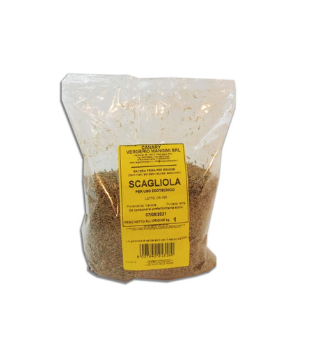 Scagliola semi becchime - ,
