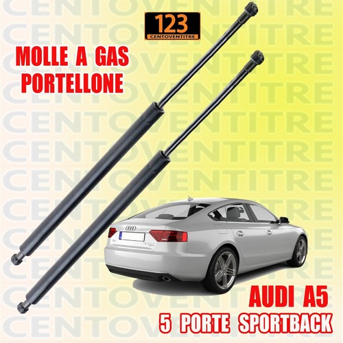 Molle gas cofano portellone - a,