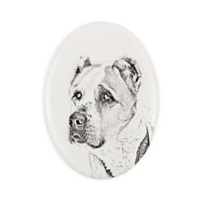 Cane da pastore dell'Asia