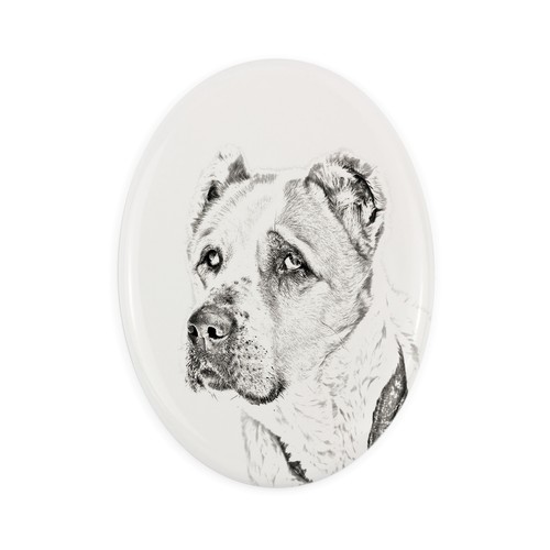 Cane pastore dell asia - da, dell'asia