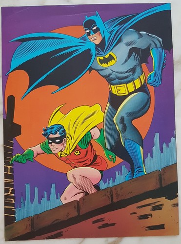 Batman robin poster - robin,