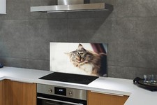 Tulup Parete Posteriore Cucina
