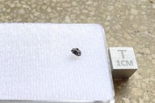 RARE NWA 6963 MARTIAN SHERGOTTITE METEORITE!  .04gms - With COA - Ex IMCA