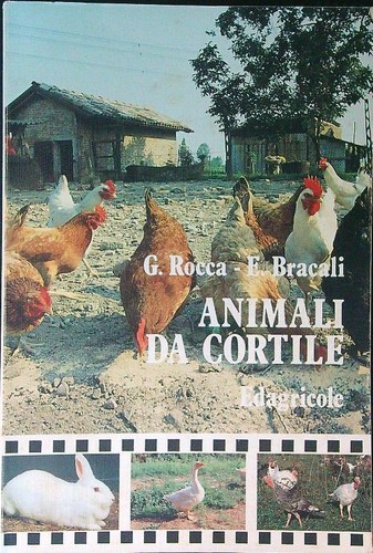 Animali cortile rocca - cortile,