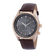 Citizen Perpetual World Time