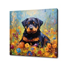 Carino Rottweiler cane