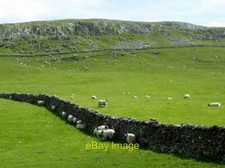 Photo 12x8 sheep keeping - photo, cool