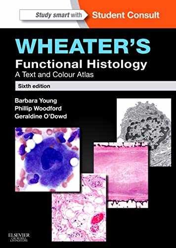 Wheater functional - wheater's,