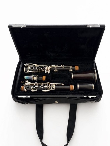 Clarinetto selme odyssee usato - clarinetto,