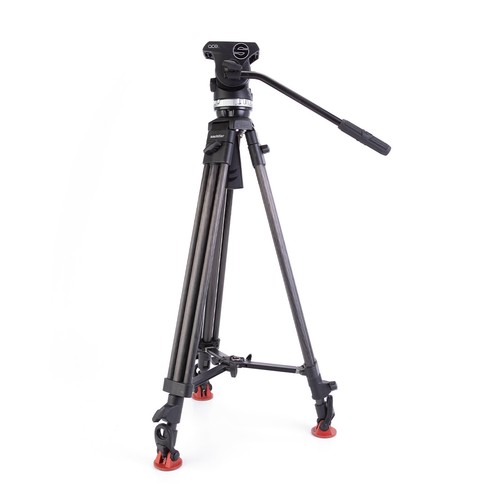 Testa gambe treppiede - testa,