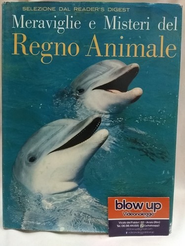 Meraviglie misteri del regno - e,