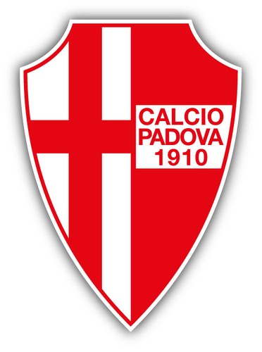 Adesivo decalcomania paraurti