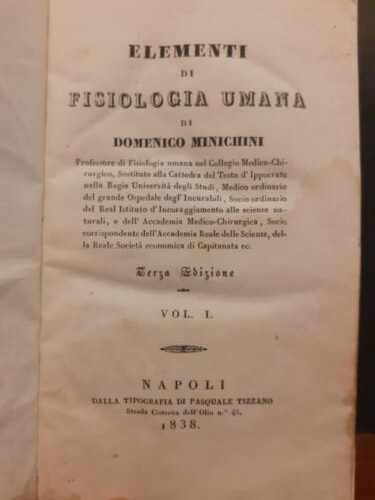 Domenico minichini elementi - domenico,