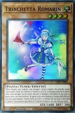 Trinchetta Romarin - Super