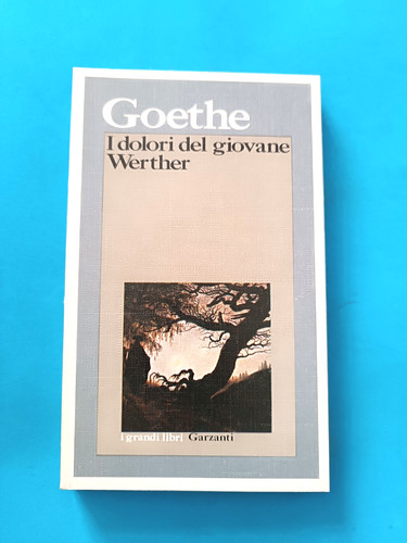 Dolori del giovane werther - i,