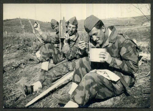 Militari alpini - -,