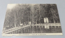 CP CARTOLINA EPOCA VALLOMBROSA vasca piscicoltura Viaggiata  1915