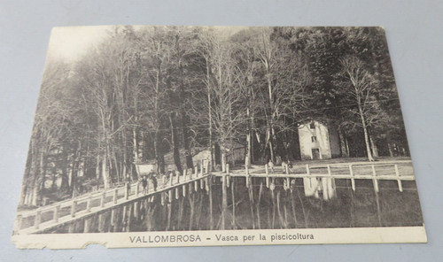 Cartolina epoca vallombrosa - cartolina,