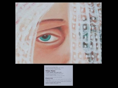 Philippe mayaux carton - mayaux,