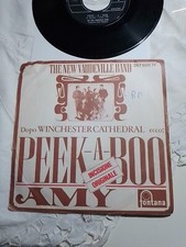 The New Vaudeville Band 45g