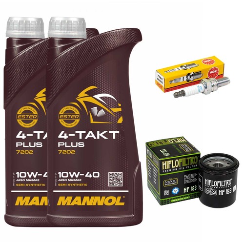 Kit revisione olio filtro - 2l,