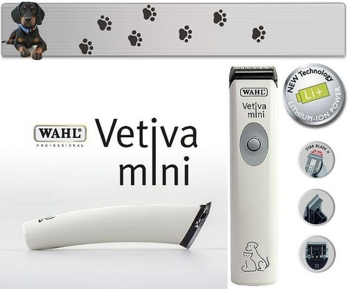 Scelta vetiva mini - scelta, agli