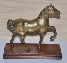 Statua cavallo ottone con - in,