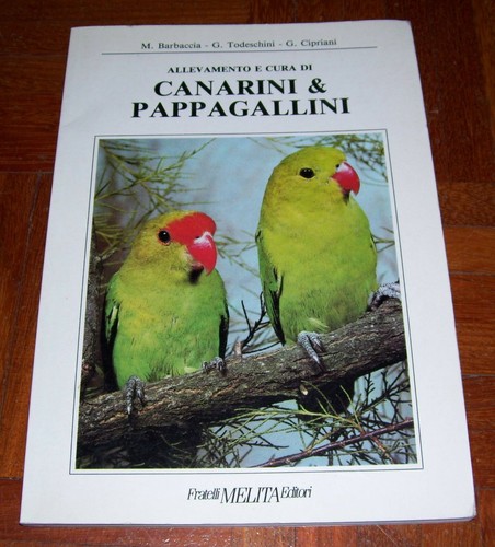 Allevamento cura canarini - allevamento,