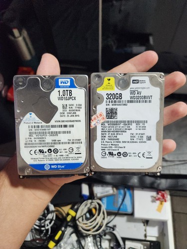 Coppia hard disk - di, 320gb