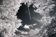 Corpo macchina Canon 100D modificato. Spettro completo convertito-Astro-IR. FILTRO OMAGGIO!