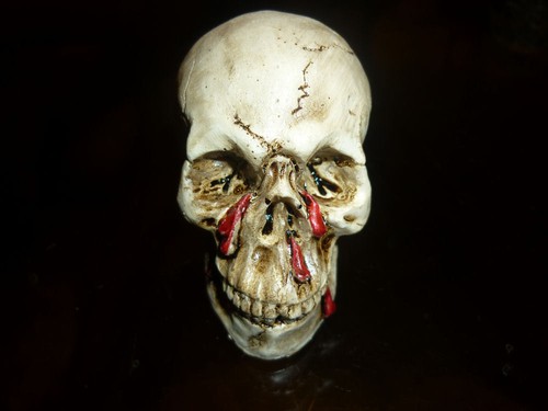 Teschio sangue fatto - teschio, a