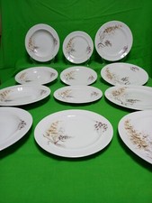 Set di Piatti porcellana vintage Bavaria Schumann Arzberg.