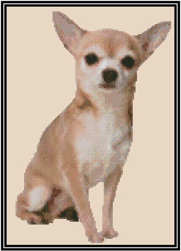 Cappotto corto per cani