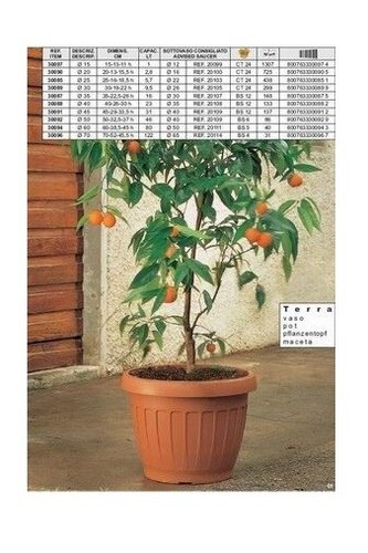 Vaso terra per piante - terra,
