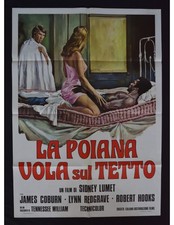 Manifesto poiana vola sul - poiana,