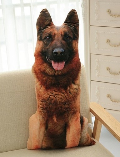 German shepherd dog - german,