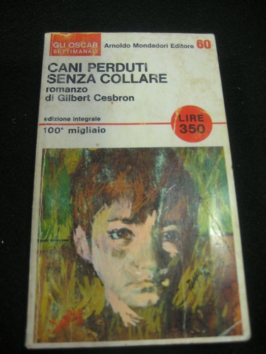 Libro cani perduti - cani, senza