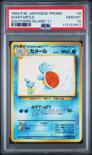 Pokemon wartortle isole - pokemon,