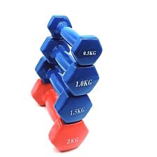 2 manubri pesi palestra casa allenamento fitness pilates yoga forza e resistenza