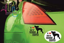 DA 7 - I love my Chinese