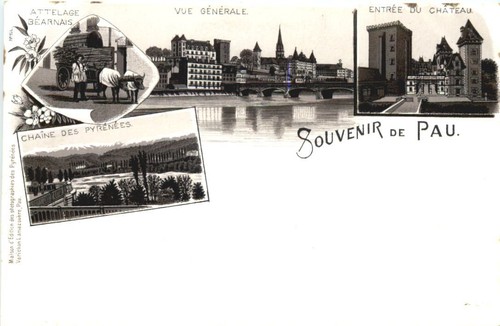 Souvenir pau litografia - de,