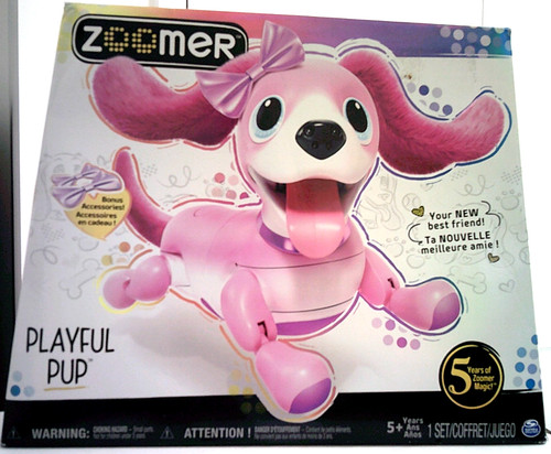 Zoomer cucciolo giocoso - zoomer, cane