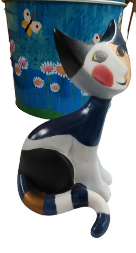 Gatto porcellana rosina - gatto,