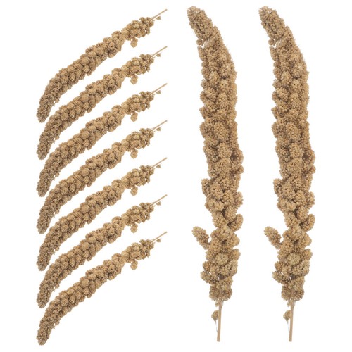Snack per pappagalli - , canarini