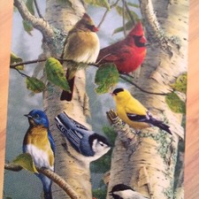 Bird Collage Outdoor Flag By