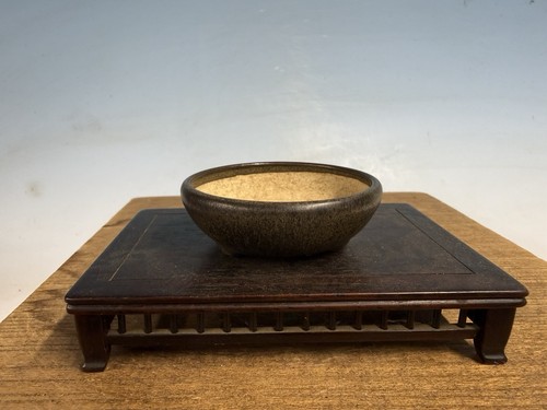 Bellissimo vaso per bonsai