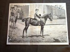 Sua Altezza Reale il Principe di Napoli nel 1880 Su cavallo arabo al Quirinale