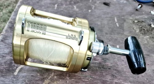 Mulinello shimano tiagara - ,