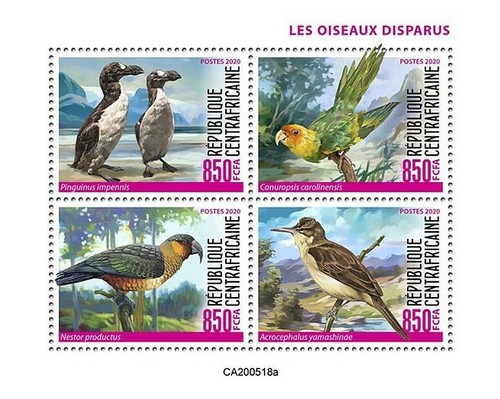 Extinct birds dodo pappagallo - birds, dodo/pappagallo