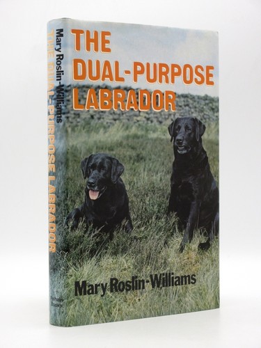 The dual purpose - dual-purpose, labrador